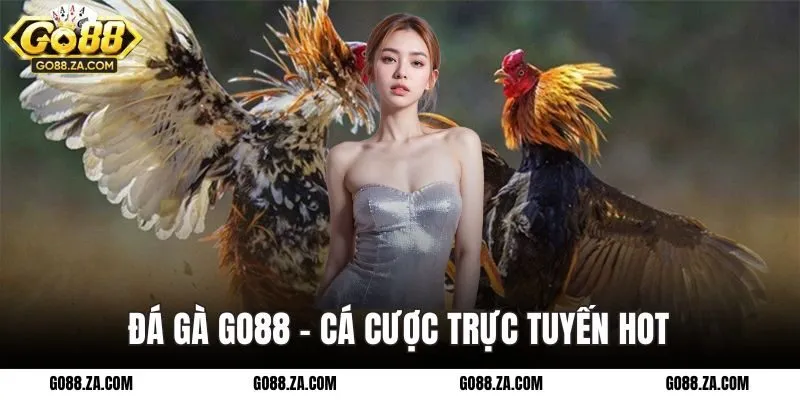 Đá Gà GO88 - Cá cược trực tuyến hot
